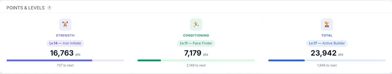 CommitFit Dashboard showing Strength, Conditioning, and Total levels with progress bars